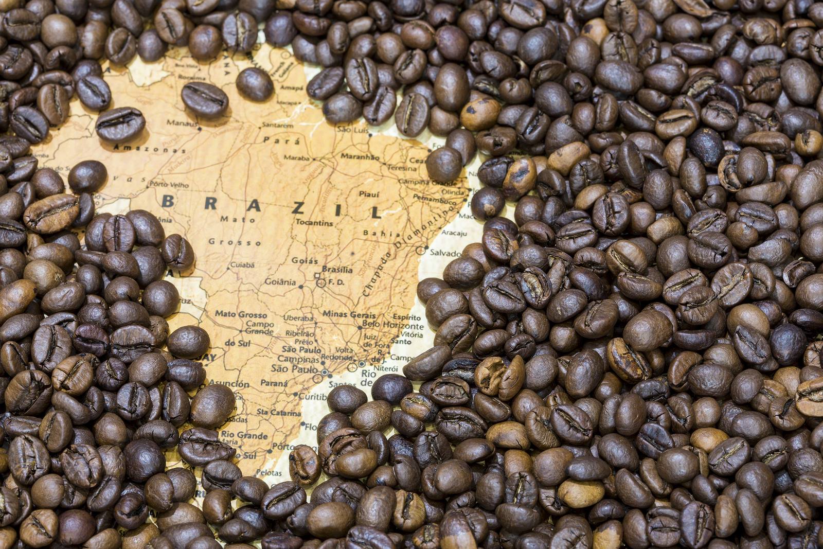 Exportação dos Cafés do Brasil atinge 30,62 milhões de sacas com receita  cambial de US$ 6,4 bilhões em dez meses - Agromogiana